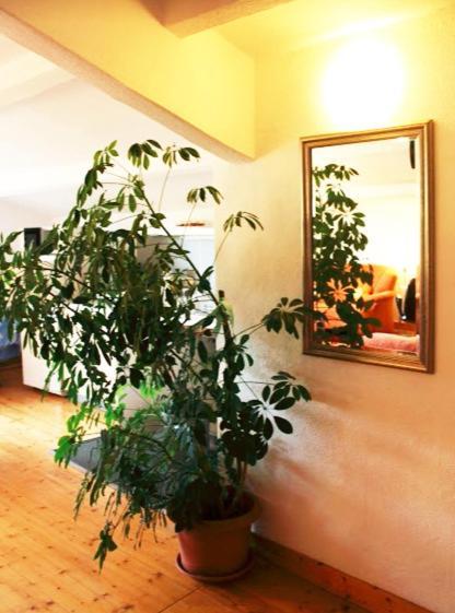 Ferienwohnung Haus Edith In Laufenburg Luaran gambar